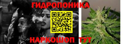 гидра Можга