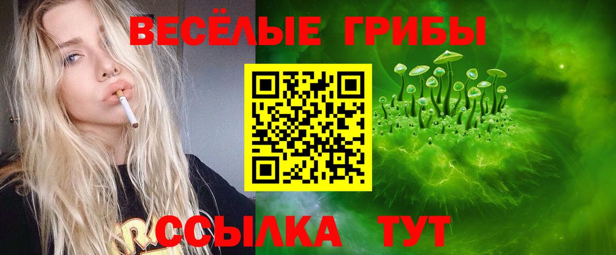 Татарск  Галлюциногенные грибы MAGIC MUSHROOMS  даркнет сайт  Вход с VPN 